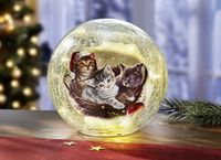 Glaskugel mit Beleuchtung Katzen Glaskugel Weihnachten XMas 17881 Baden-Württemberg - Birkenfeld Vorschau