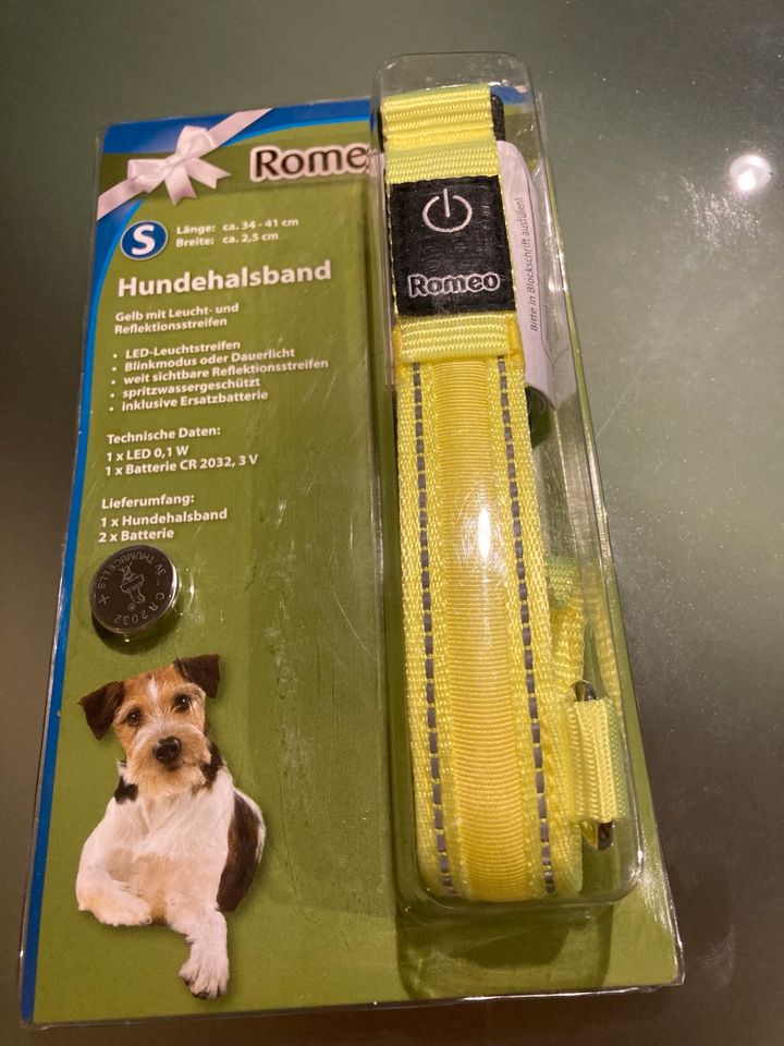 Hundehalsband in Nürnberg (Mittelfr)