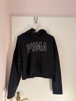 Puma Pulli Hessen - Vellmar Vorschau