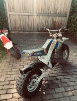 Honda TR200 Big Wheel Fat Cat Yamaha BW80 BW200 BW350 Aachen - Aachen-Haaren Vorschau