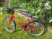 Cityrad 26"    Treckingrad 26 Zoll Nordrhein-Westfalen - Gelsenkirchen Vorschau