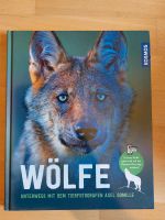 Wölfe Unterwegs mit dem Tierfotografen Axel Gomille Wolf Bayern - Landshut Vorschau