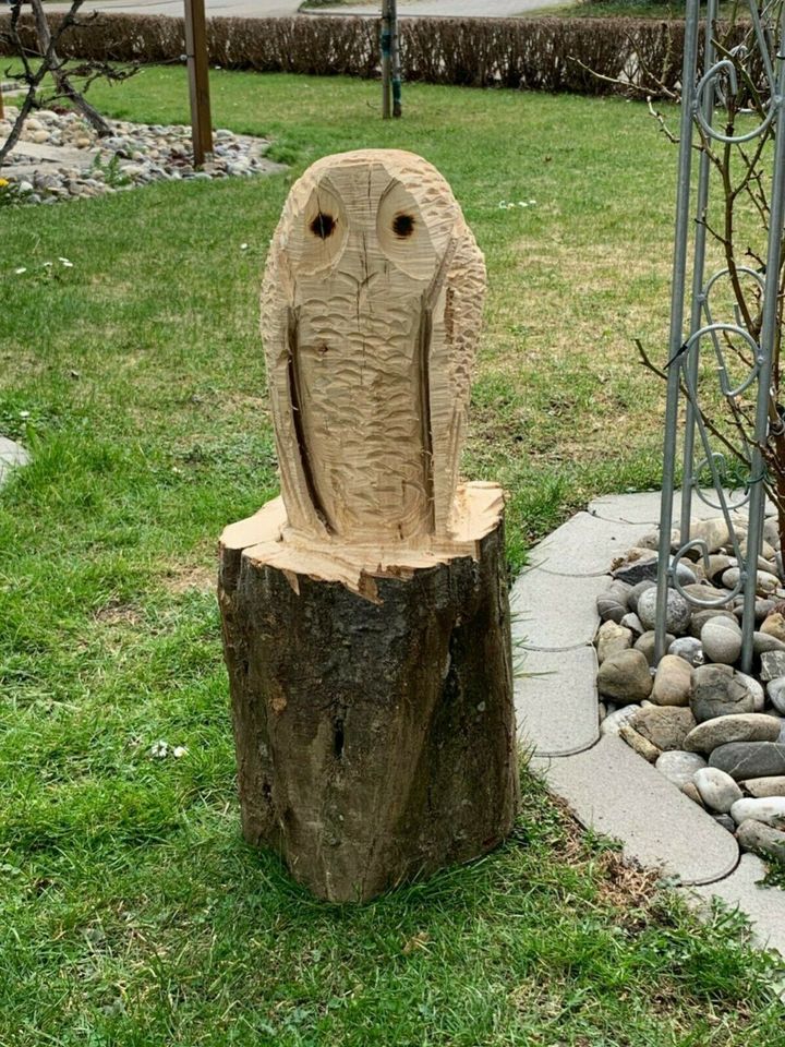 Holzskulptur Kauz Deko Garten Motorsägenkunst Carving in Sonnenbühl