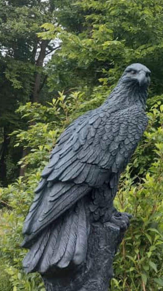 ‼️Adler 100kg 106cm Steinadler Seeadler Greifvogel Eagle Harley‼️ in Kleve