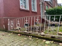 Sehr schöner Gartenzaun wegen  Neugestaltung zu verkaufen Nordrhein-Westfalen - Hamm Vorschau