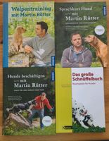 Welpen / Hunde Erziehung Sachsen - Schkeuditz Vorschau