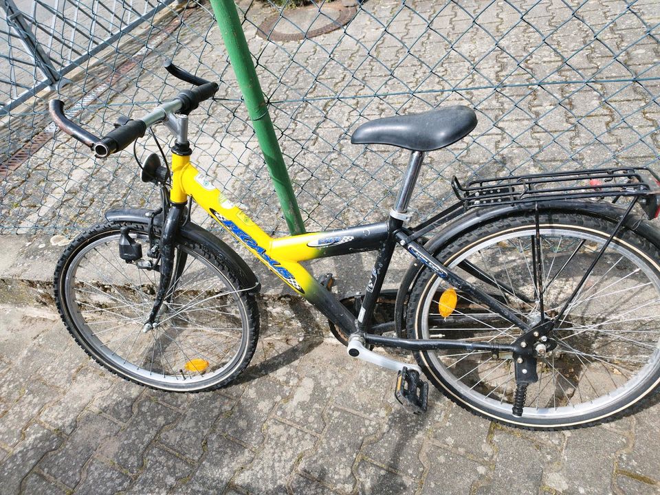 1 Kinder Fahrrad 24 Zoll Pegasus in Darmstadt