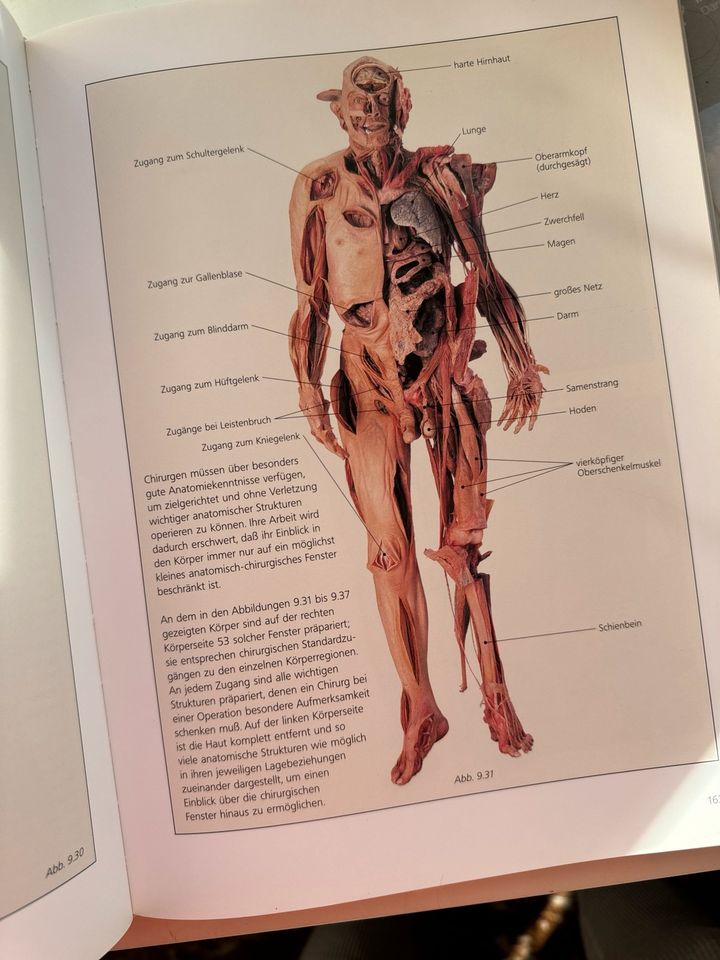 Körperwelten Anatomie Buch : Medizin in Hungen