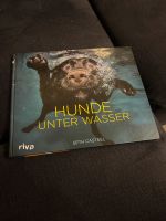 Hunde unter Wasser Seth Casteel Schleswig-Holstein - Seedorf Vorschau