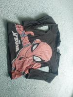 Spiderman Pullover 122 Sachsen-Anhalt - Magdeburg Vorschau