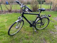 Herren Fahrrad Koga Myata Tourer Nordrhein-Westfalen - Gronau (Westfalen) Vorschau