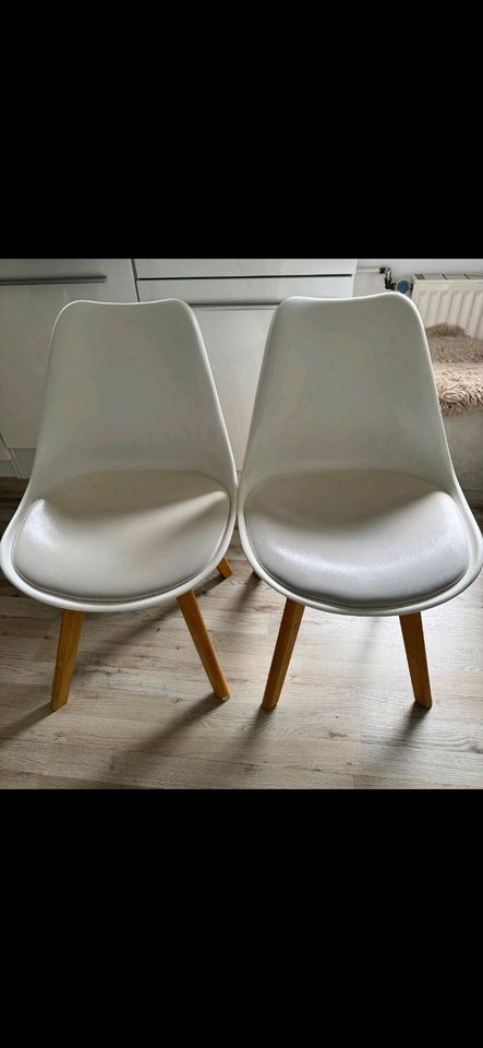 Esszimmer Stühle in Rödermark