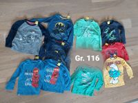 KINDER BEKLEIDUNGS SET 10x Pullover Gr. 116 SIGIKID/NINJAGO/BATMA Niedersachsen - Munster Vorschau