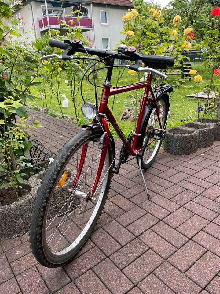 City Fahrrad Herrenrad 26“ in Duisburg