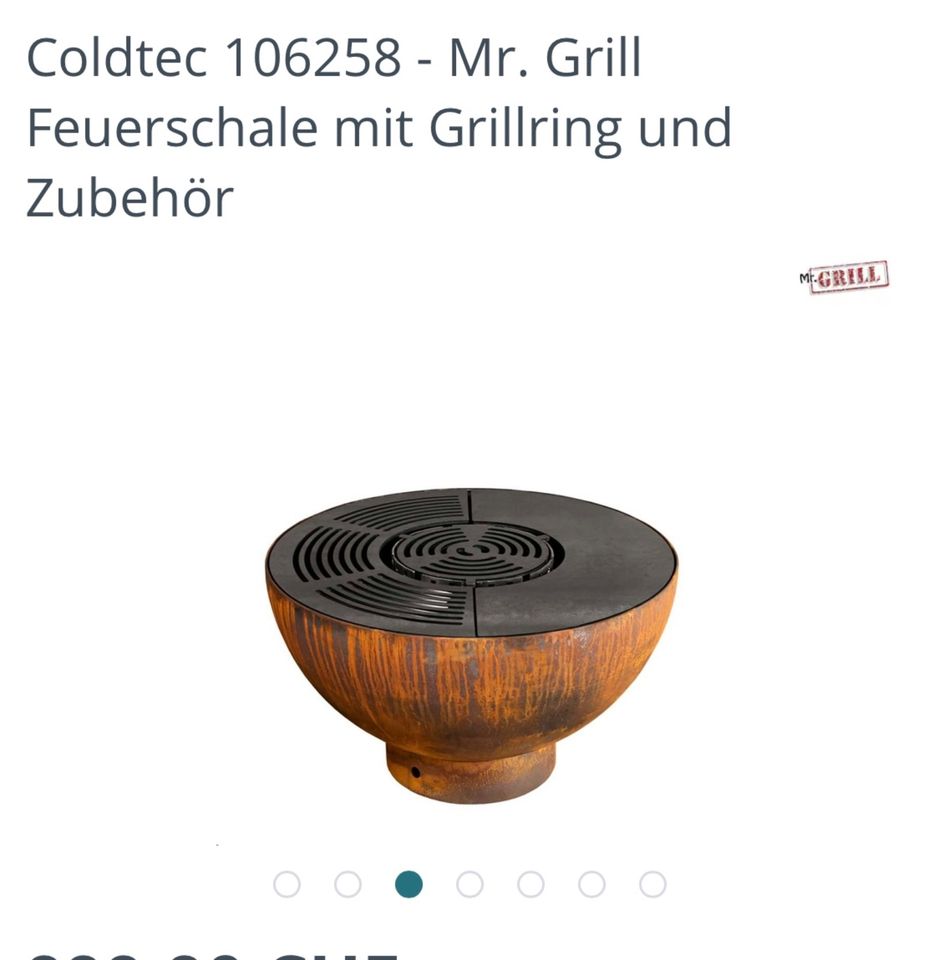 Grill mit kombinierter Feuerschale und Zubehör in Gröditz