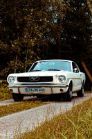 Ford Mustang Coupé US Car selber fahren Schleswig-Holstein - Bad Oldesloe Vorschau