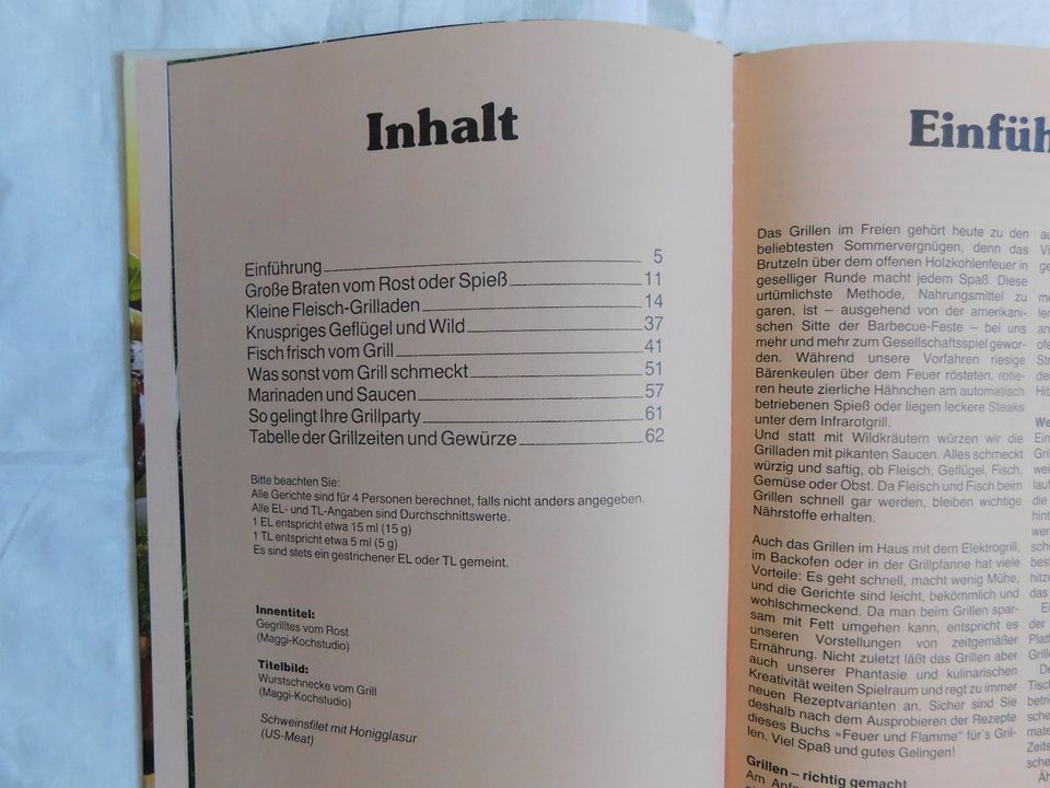 Kochbuch 100 Rezepte Die besten Grill-Ideen in Hannover