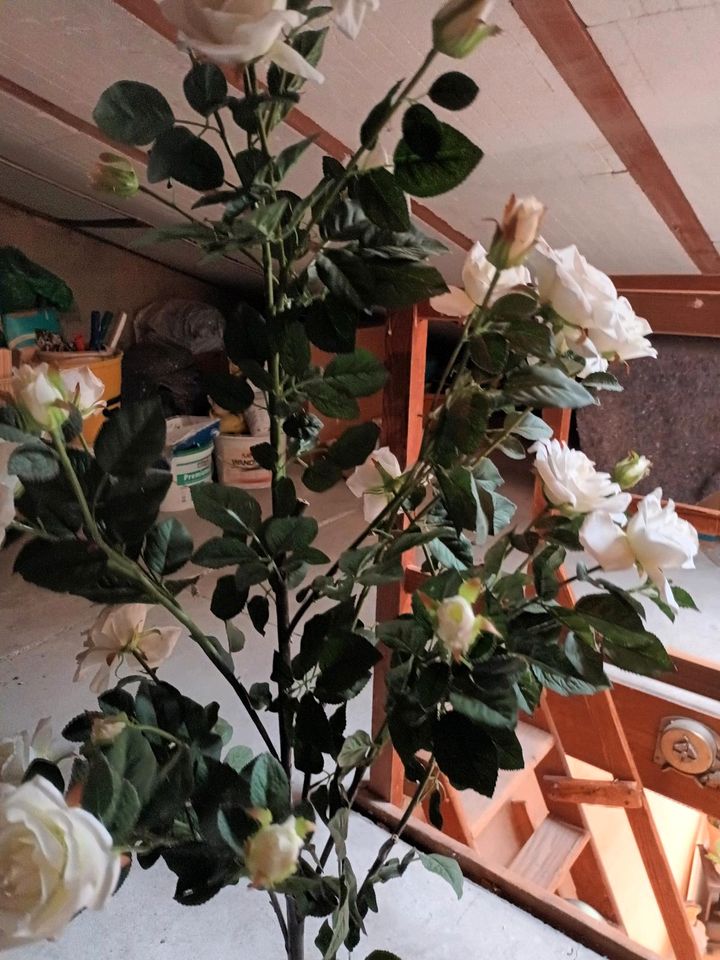 Kunstpflanze weiße Rosen in Heidelberg