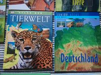 Sachbücher Kinder Wildtiere Wetter Körper Deutschland Dinosaurier Nordrhein-Westfalen - Bornheim Vorschau