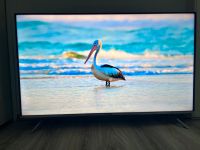 55 Zoll 4K UHD Smart TV 1 Jahr alt Essen - Stoppenberg Vorschau
