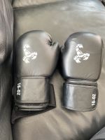 Boxhandschuhe Rheinland-Pfalz - Koblenz Vorschau