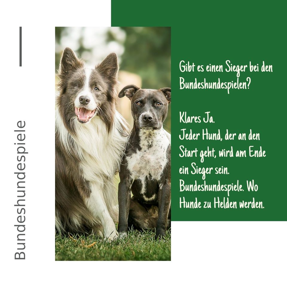20 % Rabatt auf Tickets Bundeshundespiele 2024 - Du und dein Hund in Frankfurt am Main