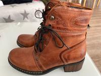 Wolky Stiefelette, Damenschuh, Stiefel Hessen - Vellmar Vorschau