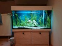 Aquarium ca. 110 l als Set von Juwel, Zubehör Nordrhein-Westfalen - Frechen Vorschau