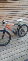 Fahrrad 26 er Zoll Mountainbike Bike Federgabel Sachsen - Hartha Vorschau