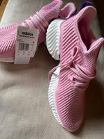 Adidas alphabounce instinc Gr. 40  6.5 NEU Brandenburg - Werder (Havel) Vorschau