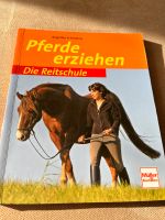 Pferde erziehen von Angelika Schmelzer Hessen - Hauneck Vorschau