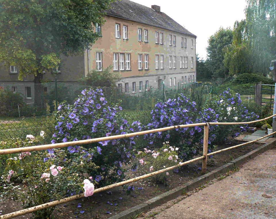 Mehrfamilienhaus, Mehrgenerationenhaus mit großem Grundstück in Camburg