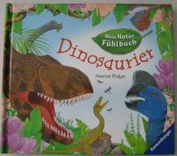 Mein Natur-Fühlbuch: Dinosaurier von Lenz, A, Selten Frankfurt am Main - Niederursel Vorschau