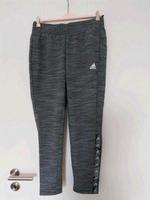 Hose adidas neu! Brandenburg - Teltow Vorschau
