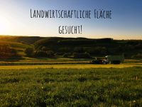 Landwirtschaftliche Fläche gesucht Rheinland-Pfalz - Brandscheid(Bitburg-Prüm) Vorschau