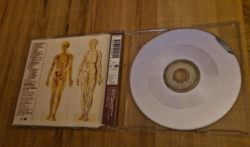 Die Toten Hosen Sexual Maxi CD MCD sehr guter Zustand rar in Achim