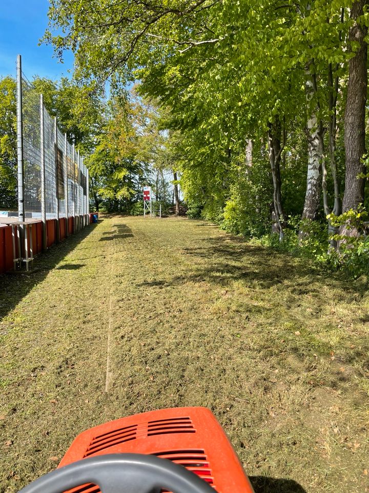 Hecken schneiden /Rasen mähen in Pattensen