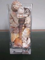 Deko Glas mit Muscheln Rheinland-Pfalz - Mehring Vorschau