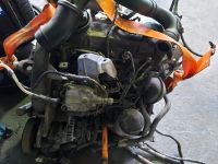 Motor AHF 1,9 TDI Audi Bj 99 81 kw 110 PS Sachsen - Niesky Vorschau