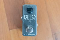 TC Electronic Ditto - Looper Pedal Bayern - Ingolstadt Vorschau