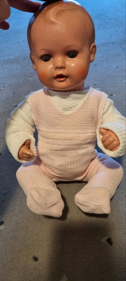 Schildkröt Baby Puppe Sammler in Leverkusen