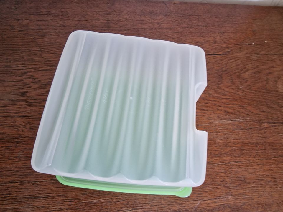 unbenutzter Klima Prima Behälter 1,1l grün (Tupperware) in Westerwalsede