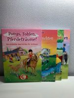 3 in 1 Ponygeschichten perfekt für Pferdefans Nordrhein-Westfalen - Jülich Vorschau