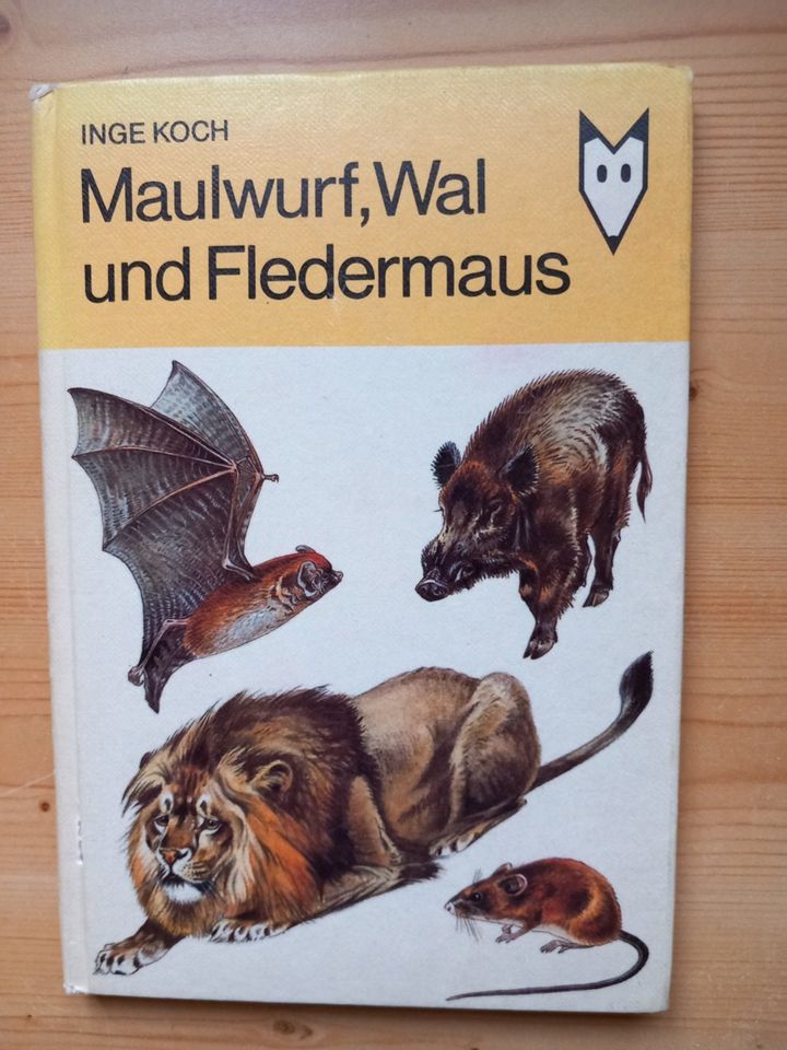 Maulwurf, Wal und Fledermaus in Dresden
