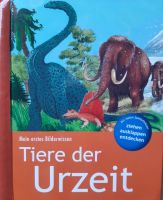 Tiere der Urzeit Bayern - Ainring Vorschau