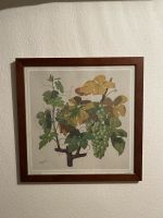 3 Bilder Weinreben gerahmt ca 30x30cm Nordrhein-Westfalen - Herford Vorschau