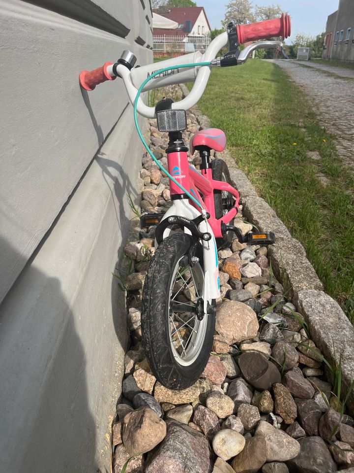 Mérida Kinderfahrrad in Schwedt (Oder)