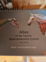 Atlas of the equine Musculoskeletal System Niedersachsen - Moormerland Vorschau