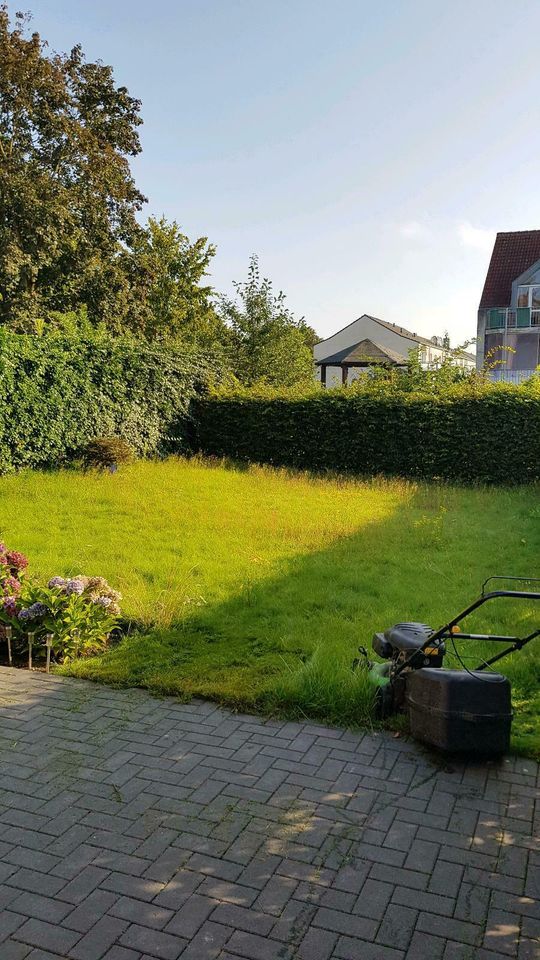 Garten Heckenschnitt schneiden Grünschnitt Sträucher Gärtner in Kleve