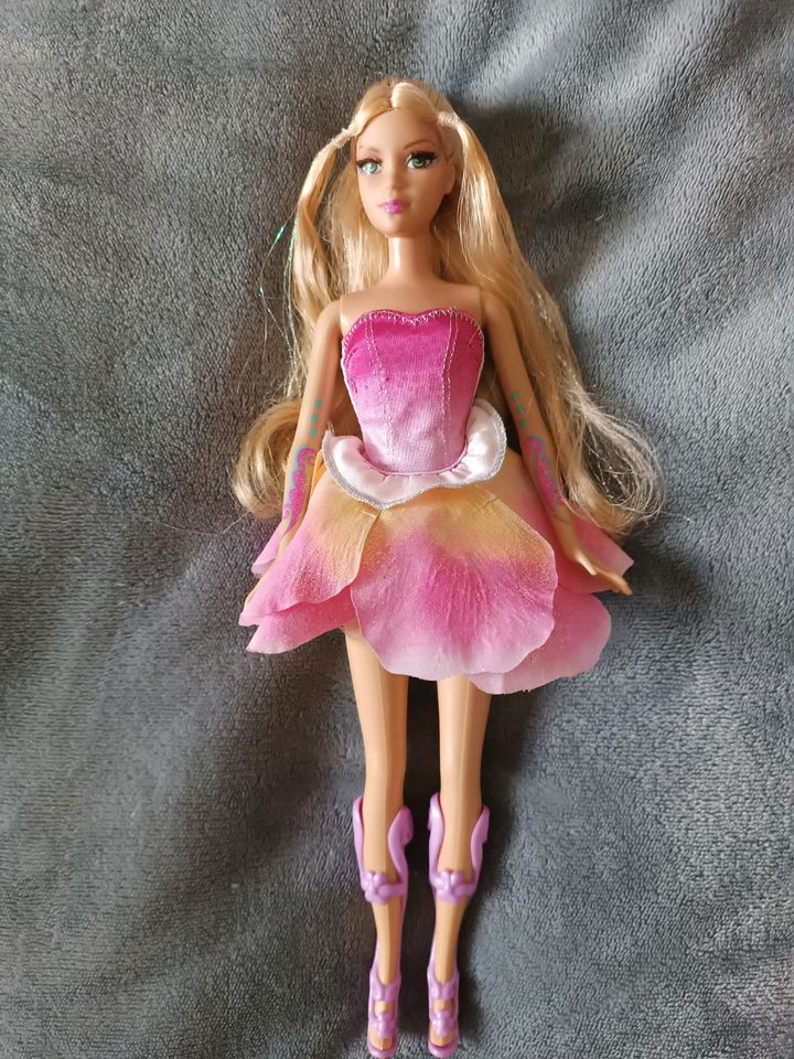Barbie Fairytopia Elina in Leipzig